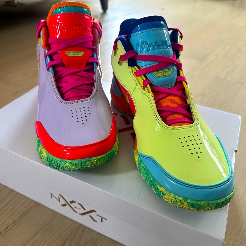 ZM LEBRON NXXT GEN AMPD IPS Nike sneakers size 9M 10.5W